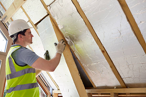 Best Spray Foam Insulation  in Westvle, IL